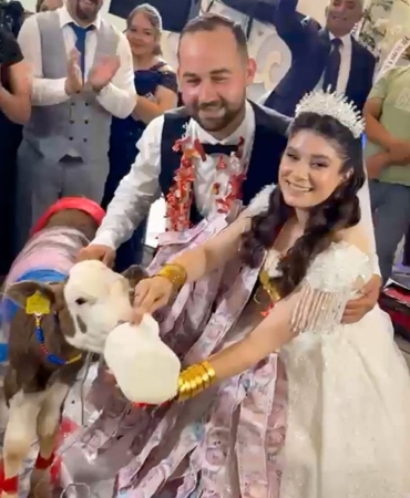 taki-merasiminde-altin-yerine-disi-buzagi-hediye-edildi-5kz4V5bV.jpg
