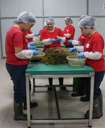 tarimsal-urun-fabrikasi-ile-kadinlar-uretiyor-efeler-kazaniyor-nf2P8mSP.jpg