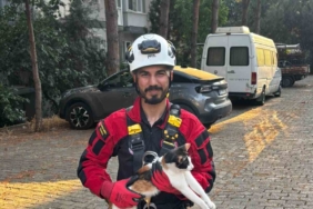 uc-gundur-agacta-mahsur-kalan-kedi-kurtarildi-qps4yiSs.jpg