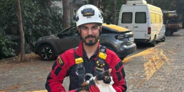 uc-gundur-agacta-mahsur-kalan-kedi-kurtarildi-qps4yiSs.jpg