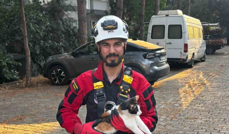 uc-gundur-agacta-mahsur-kalan-kedi-kurtarildi-qps4yiSs.jpg