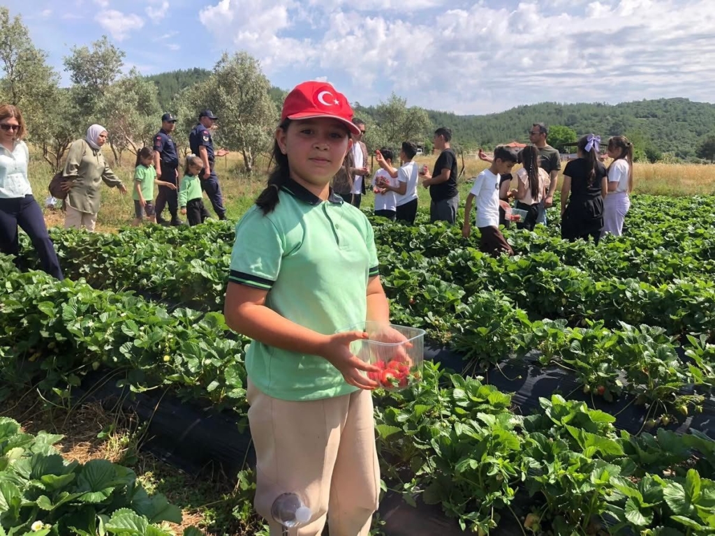 featured