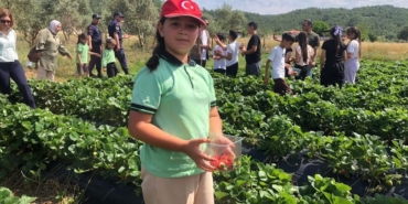 yataganda-genclik-yili-kapsaminda-cilek-hasadi-yapildi-ZtleqiQa.jpg