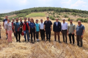 yataganda-hasat-senligine-yogun-katilim-s9NLAaT1.jpg