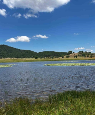 yayla-golu-niluferlerle-renklendi-cQAKZWNy.jpg