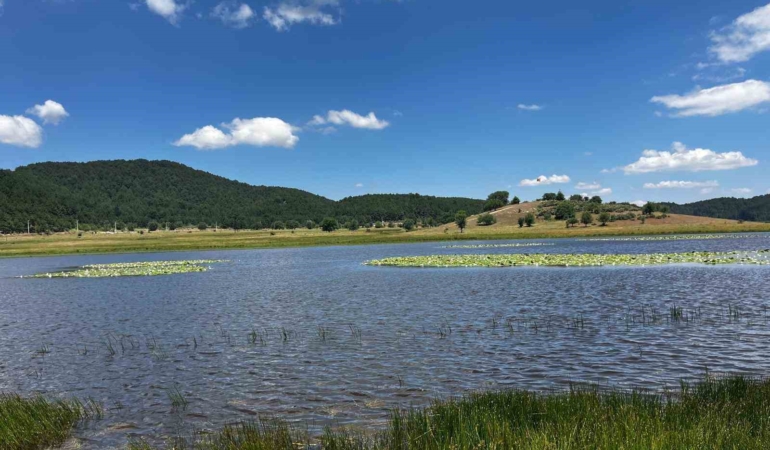 yayla-golu-niluferlerle-renklendi-cQAKZWNy.jpg