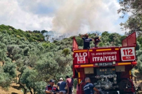 yenipazardaki-makilik-yangini-kontrol-altina-alindi-BtQE9vaH.jpg