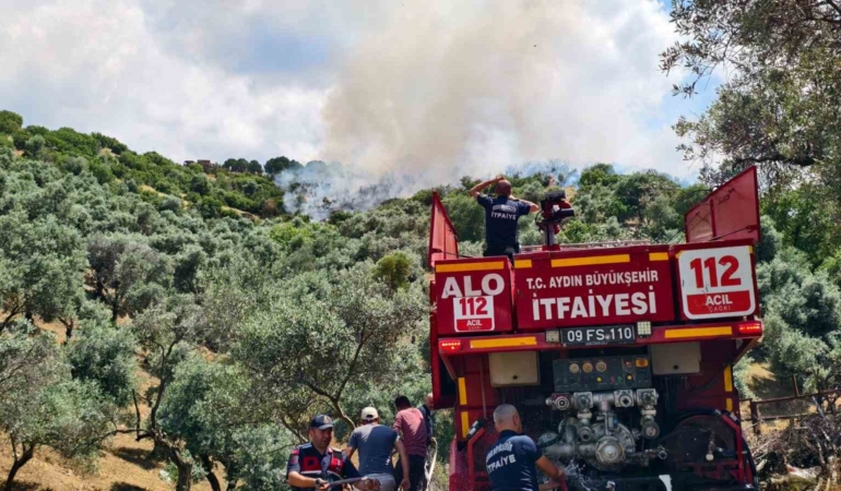 yenipazardaki-makilik-yangini-kontrol-altina-alindi-BtQE9vaH.jpg