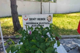 11 aylık Bedirhan bebek ve annesi şehitlikte anıldı