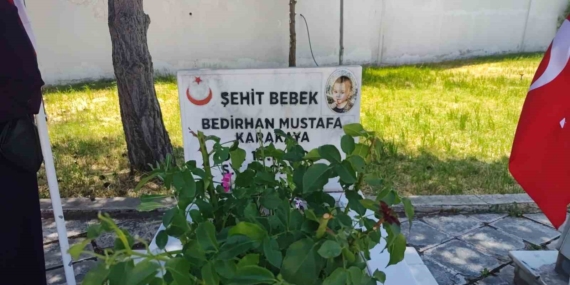 11 aylık Bedirhan bebek ve annesi şehitlikte anıldı