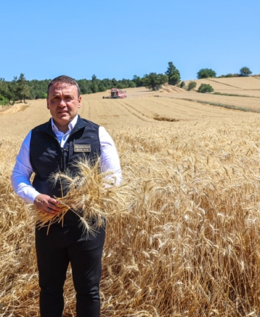 BİLECİK'TE BU YIL 335 BİN DEKAR ALANDA 167 BİN 500 TON BUĞDAY ÜRETİMİ BEKLENİYOR