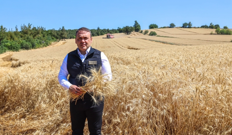 BİLECİK'TE BU YIL 335 BİN DEKAR ALANDA 167 BİN 500 TON BUĞDAY ÜRETİMİ BEKLENİYOR