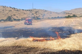 Afyonkarahisar'da anız yangını 200 dekar alanı etkiledi