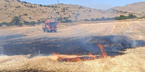 Afyonkarahisar'da anız yangını 200 dekar alanı etkiledi