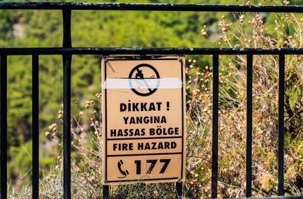 Alanya'daki orman yangını kontrol altına alındı