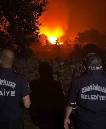 Aydın'da Orman Yangınına Büyükşehir İtfaiyesi Müdahale Etti