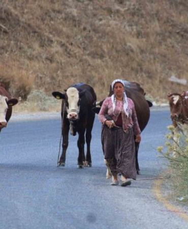 Aydın'da orman yangını: Çine'de vatandaşlar canlarını kurtardı
