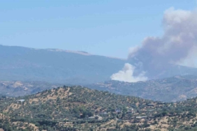 Aydın'ın Çine ilçesinde orman yangınına müdahale devam ediyor
