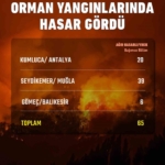 Bakan Kurum: Antalya, Muğla ve Balıkesir'de 65 bağımsız bölüm hasar gördü