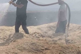 Bingöl'de çıkan arazi yangınında 2 bin dönüm zarar gördü