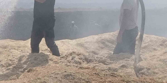 Bingöl'de çıkan arazi yangınında 2 bin dönüm zarar gördü