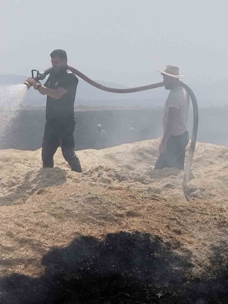 Bingöl'de çıkan arazi yangınında 2 bin dönüm zarar gördü
