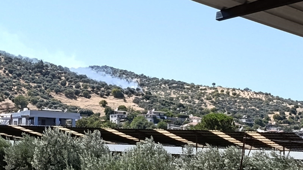 Bozdoğan'da zirai alanda yangın çıktı