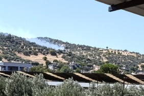 Bozdoğan'da zirai alanda yangın çıktı