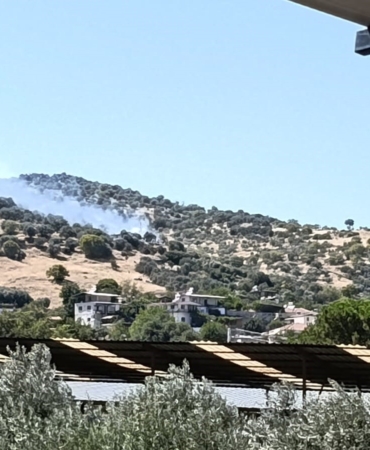 Bozdoğan'da zirai alanda yangın çıktı