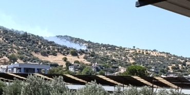 Bozdoğan'daki zirai alan yangını kontrol altına alındı