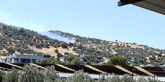 Bozdoğan'daki zirai alan yangını kontrol altına alındı
