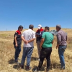 BURDUR'DA BİÇERDÖVERLER DENETLENİYOR
