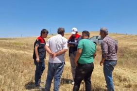 BURDUR'DA BİÇERDÖVERLER DENETLENİYOR