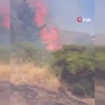 Bursa'da orman yangını 5 saatlik müdahale ile kontrol altına alındı