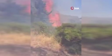 Bursa'da orman yangını 5 saatlik müdahale ile kontrol altına alındı