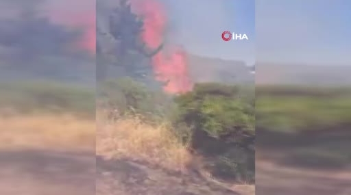 Bursa'da orman yangını 5 saatlik müdahale ile kontrol altına alındı
