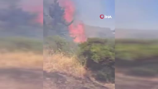 Bursa'da orman yangını 5 saatlik müdahale ile kontrol altına alındı