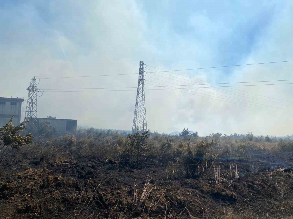 Çanakkale Biga'da tarım arazisinde yangın çıktı