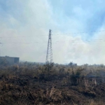 Çanakkale Biga'da tarım arazisinde yangın çıktı