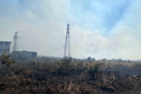 Çanakkale Biga'da tarım arazisinde yangın çıktı