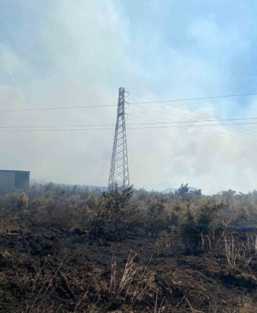 Çanakkale Biga'da tarım arazisinde yangın çıktı