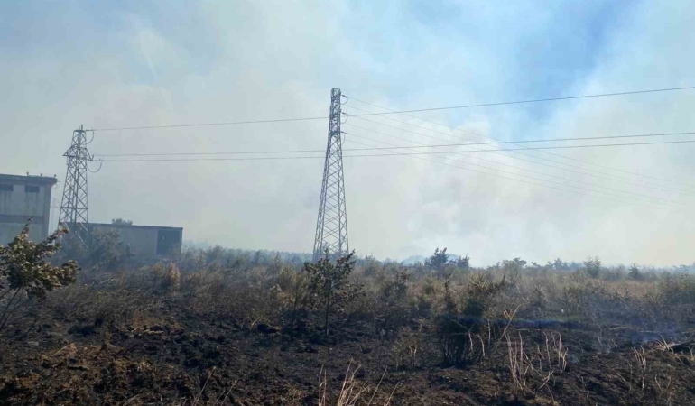 Çanakkale Biga'da tarım arazisinde yangın çıktı