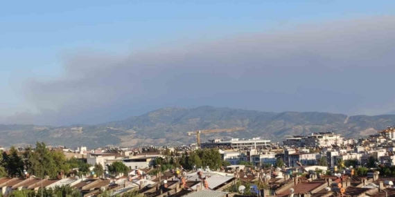 Çine'deki orman yangını Efeler'de duman bulutları oluşturdu