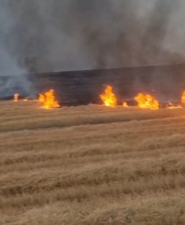 Diyarbakır Silvan'da 5 bin dönüm arazi yandı