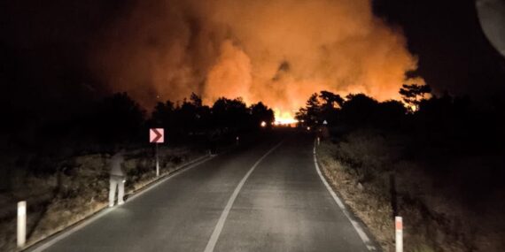 EKİLİ ARAZİDE ÇIKAN YANGIN ORMANA SIÇRAMADAN SÖNDÜRÜLDÜ