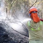 Fethiye'deki orman yangınına havadan ve karadan müdahale sürüyor