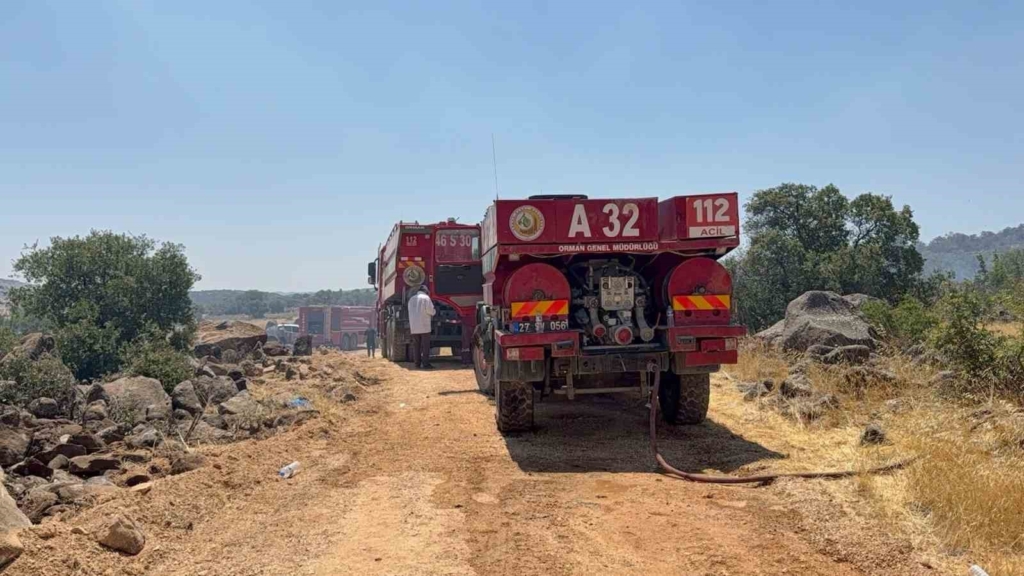 Gaziantep'te orman yangını kontrol altına alındı