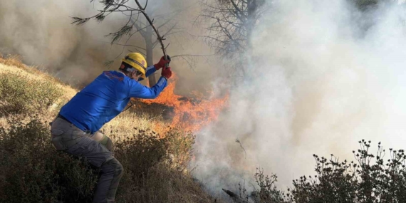 Gömeç'te yangınla mücadelede 52. saat: Ekipler seferber oldu
