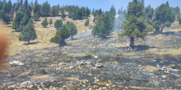 Kahramanmaraş'ta iki orman yangını başarıyla söndürüldü