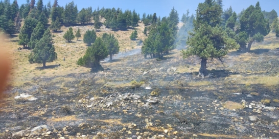 Kahramanmaraş'ta iki orman yangını başarıyla söndürüldü